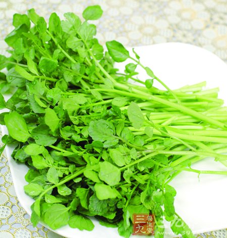 常吃菠菜可让眼睛充满电力