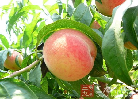 主妇请小心 大葱也有污染