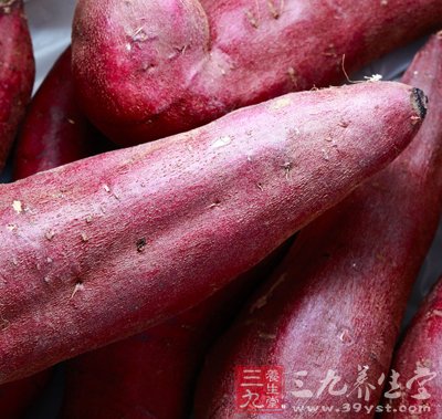 凉薯的功效和营养