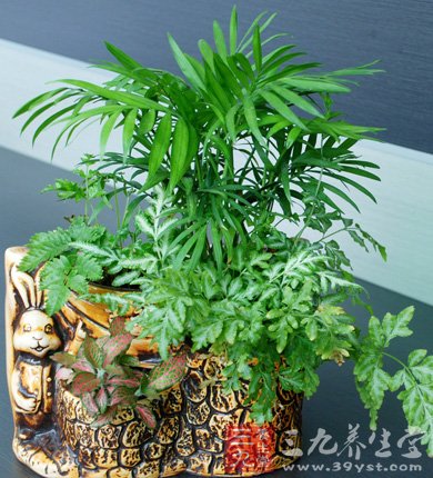 有效预防记忆减退方法