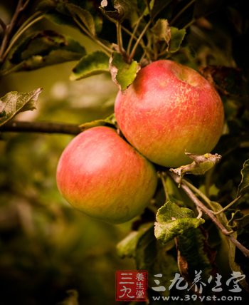 可预防高血压的水果