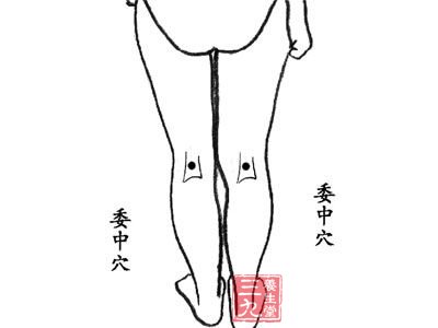 秋季女人养阴 记住按这8穴位