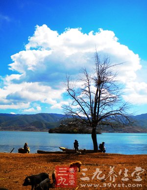 寒露时节深秋将至 气温下降谨防感冒