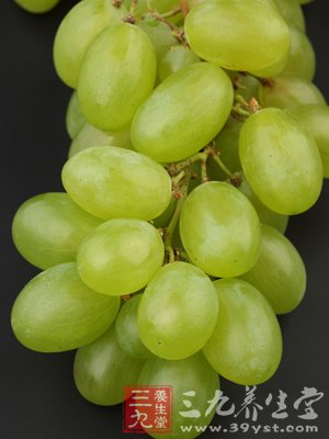 寒露养生 顺应气候全面调整