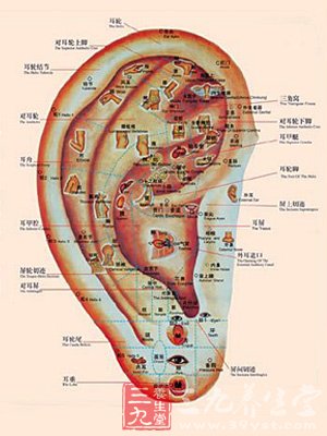 摸耳朵补肾防四病
