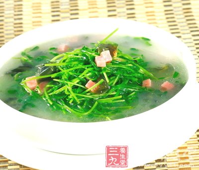豆苗蘑菇汤