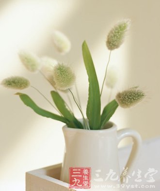 秋季养生正当时 看如何安度多事之秋