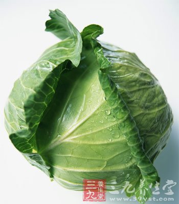 卷心菜减肥法 一周健康瘦10斤