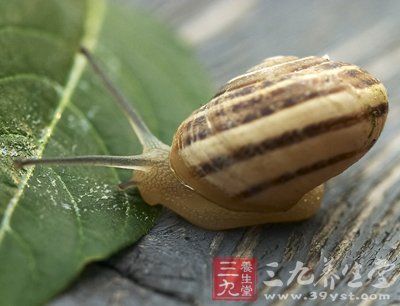 霜降以后如何应景养生 盘点养生食谱大全