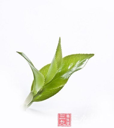茶叶的10大另类用途 竟可治口臭