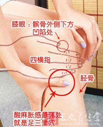 养生秘诀：中医灸足三里能长寿