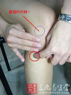 养生秘诀：中医灸足三里能长寿
