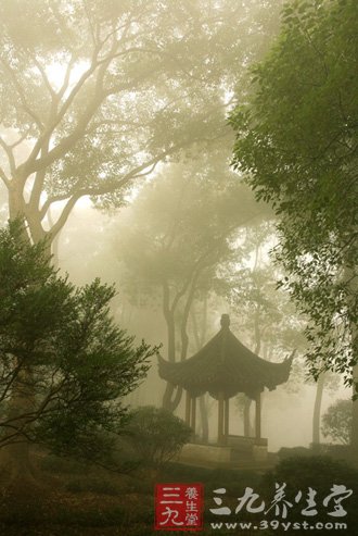 雾天尽量避免剧烈运动 防护不当易诱发脑溢血