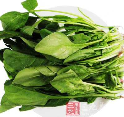 食補(bǔ)御寒 菠菜的營(yíng)養(yǎng)及做法