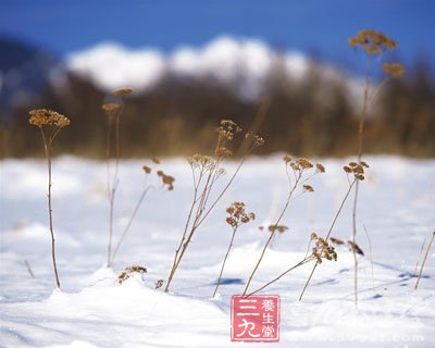 二十四節(jié)氣之立冬 拉開冬藏的序幕 