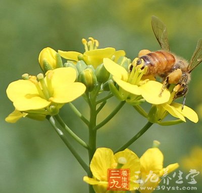 糖尿病并发症严重者不宜进行手术治疗