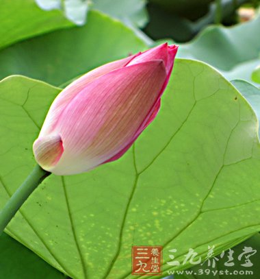 揭秘糖尿病患者心理特点和治疗方法