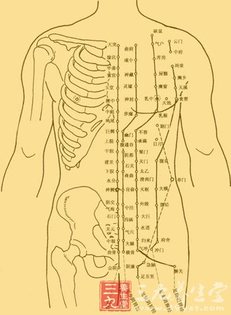 中医灵魂 内连脏腑外连四肢百骸