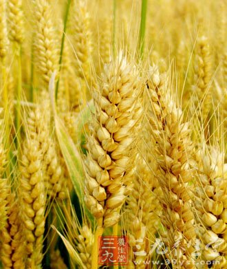 适合糖尿病人吃的营养健康的五谷杂粮