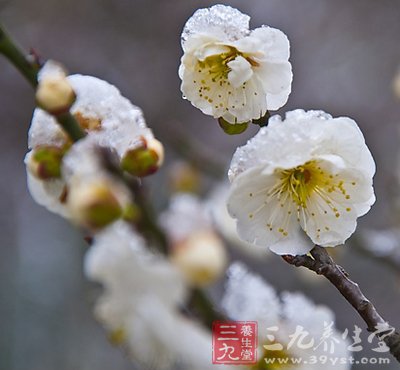 小雪养生 穴位保健康是关键