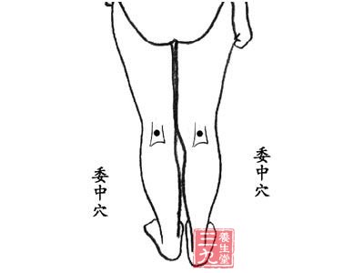 舒服腰背：按摩委中穴