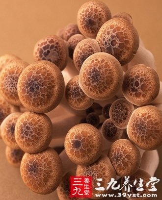 11款健康蘑菇食谱 教你正确吃菇保护健康(5)