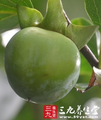 2大柿子食谱 有效止咳防感冒