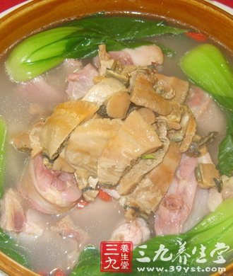 延年益寿 3款冬季鸽肉养生食谱