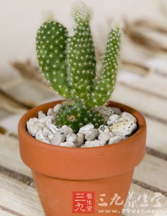 你想不到的痔疮背后的秘密