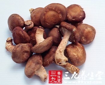 吃吃睡睡成功瘦身 减肥就是那么简单