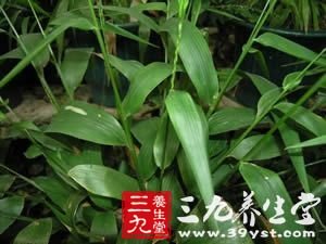 孩子的袪水痘食疗秘方