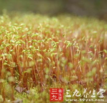 瑜伽加美食塑身 圆您身材梦