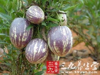 人参果怎么吃 吃人参果的禁忌(2)
