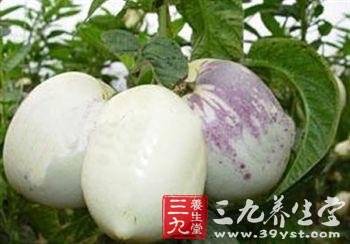 人参果怎么吃 吃人参果的禁忌