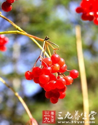 冬季吃愛情紅豆 感情甜蜜好處多