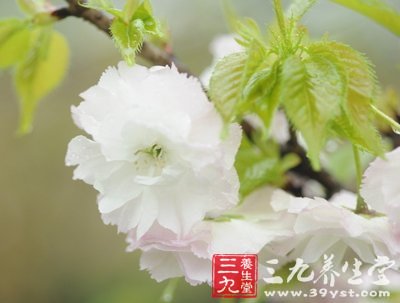 下雨天小心“湿邪”入侵
