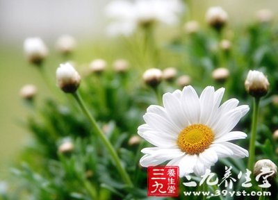 工作压力过大容易导致慢性咽炎