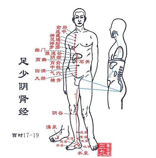 足少阴肾经穴位图