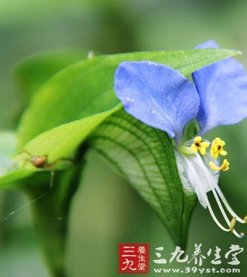 老年人健康饮食十要点