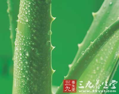九大丰胸中药让女人更完美
