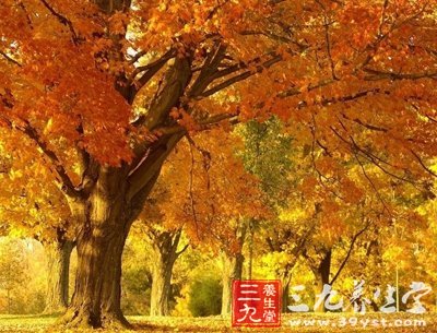 寒露气节养生防病总攻略