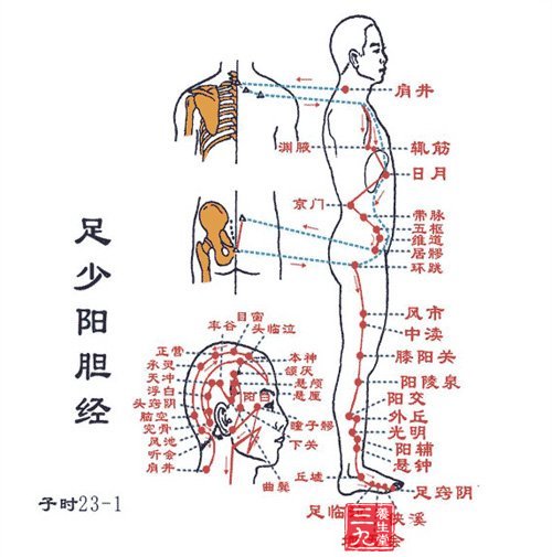 足少阳胆经穴位图