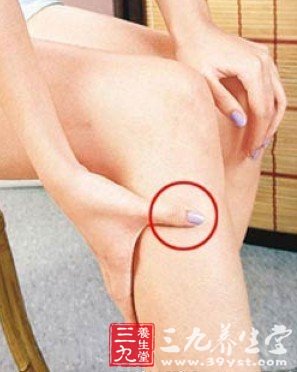 艾灸足三里穴位图
