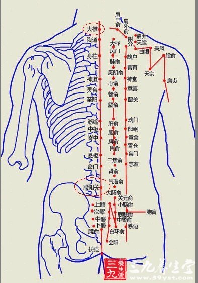 艾灸减肥穴位图