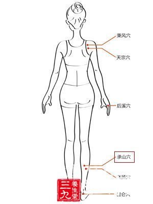 工作健康两不误 中医养生12时辰暗藏玄机