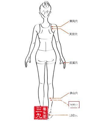 工作健康两不误 中医养生12时辰暗藏玄机