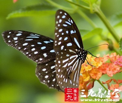 立春护肝养阳气 把握养生好时机