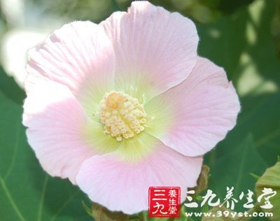 预防春季流感10大宝典