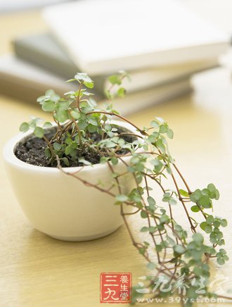 秋季养生重在养阴 中医11大妙招养阴护肺