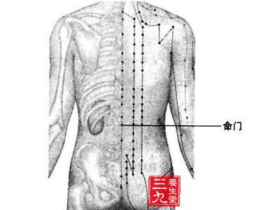 命门穴平衡性能力